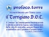 2009torrigianodoc_francesco_blu-scuro5