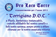 2011- Torrigiano D.O.C.