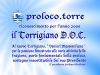 2009torrigianodoc_venierimax_blu-scuro5