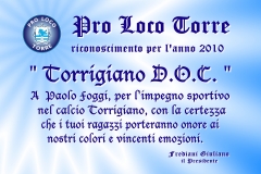 2010- Torrigiano D.O.C.