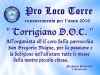 2010torrigianodoc_30x20_coro-e-organista