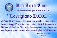 2012- Torrigiano D.O.C.